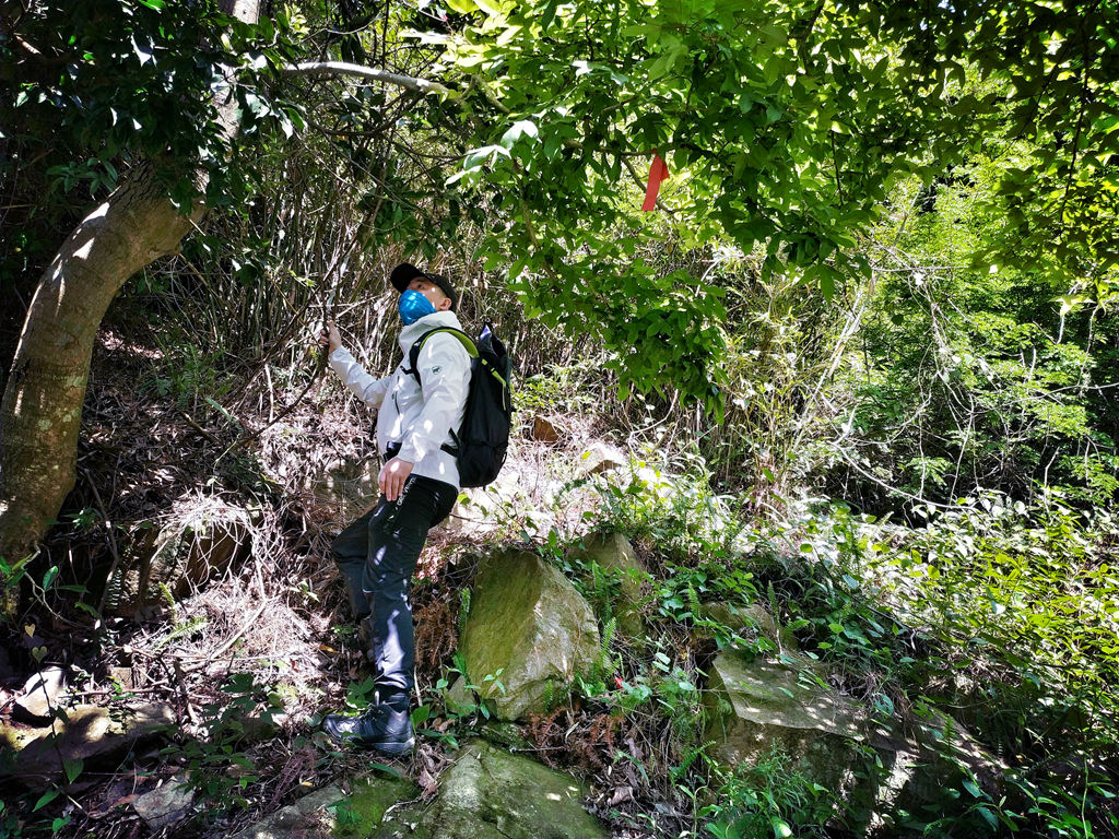 猛犸象什么装备好,猛犸象装备如何配