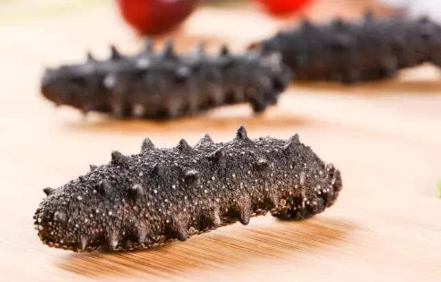 海参百科,海参科普