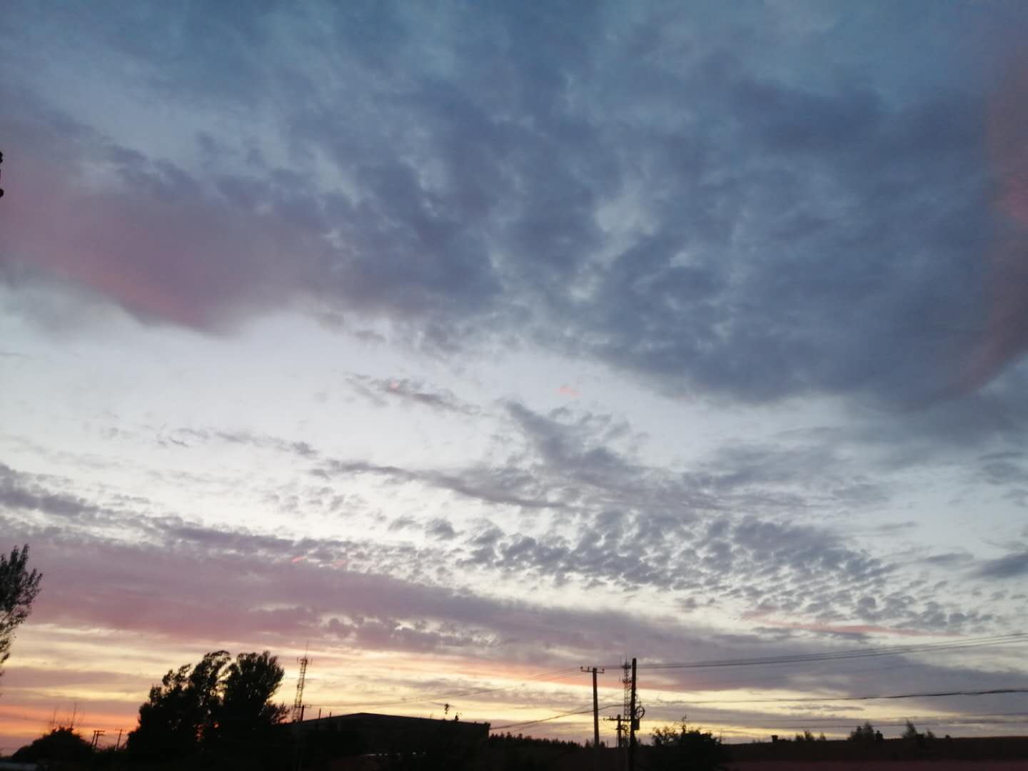 士大夫执笔,散文写下人间美食