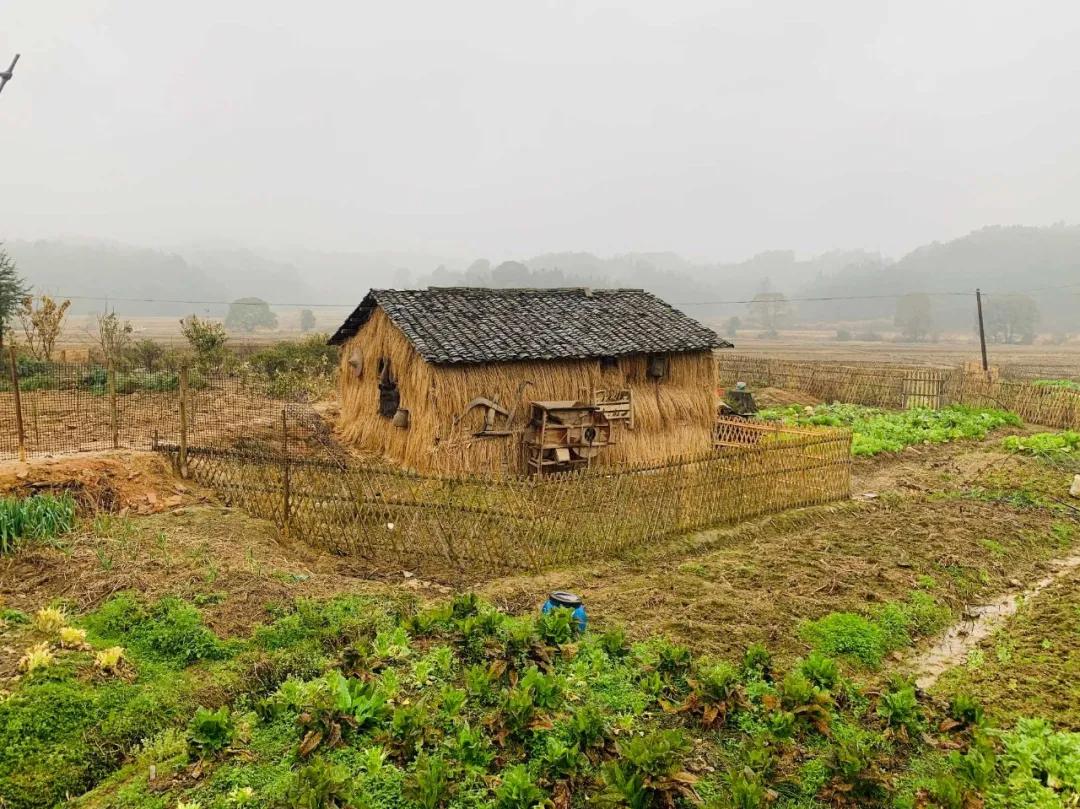 峡江旅游景点推荐一下,峡江县网红打卡地点