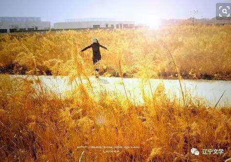 岩泉:猪年诸事已往乎,鼠年数钱可来也