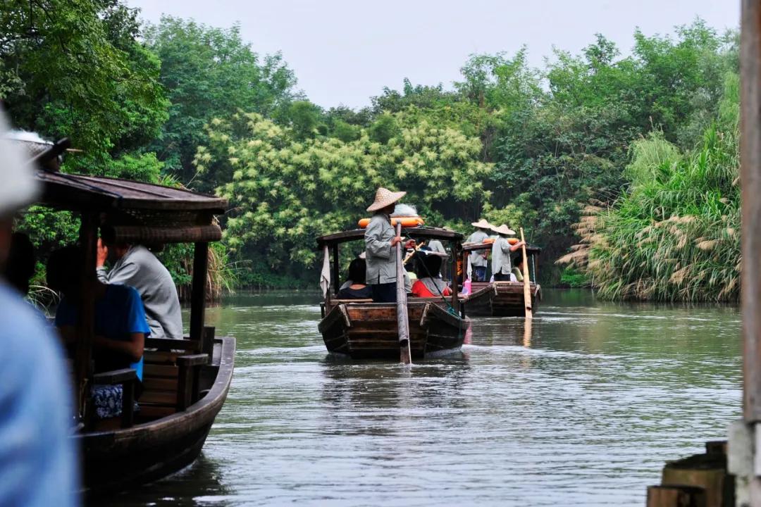 西溪湿地，对杭州意味着什么？