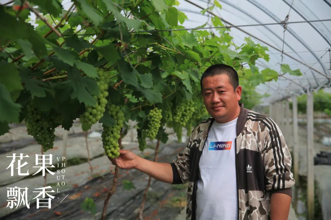 红的发黑的葡萄叫什么,25个早熟新品种葡萄解析