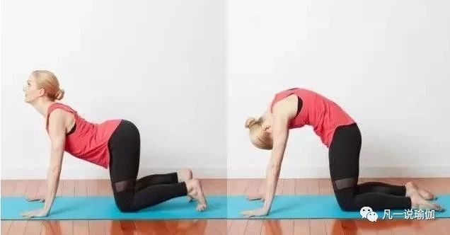 脊柱衰老的最佳训练方法,年纪大脊柱变化