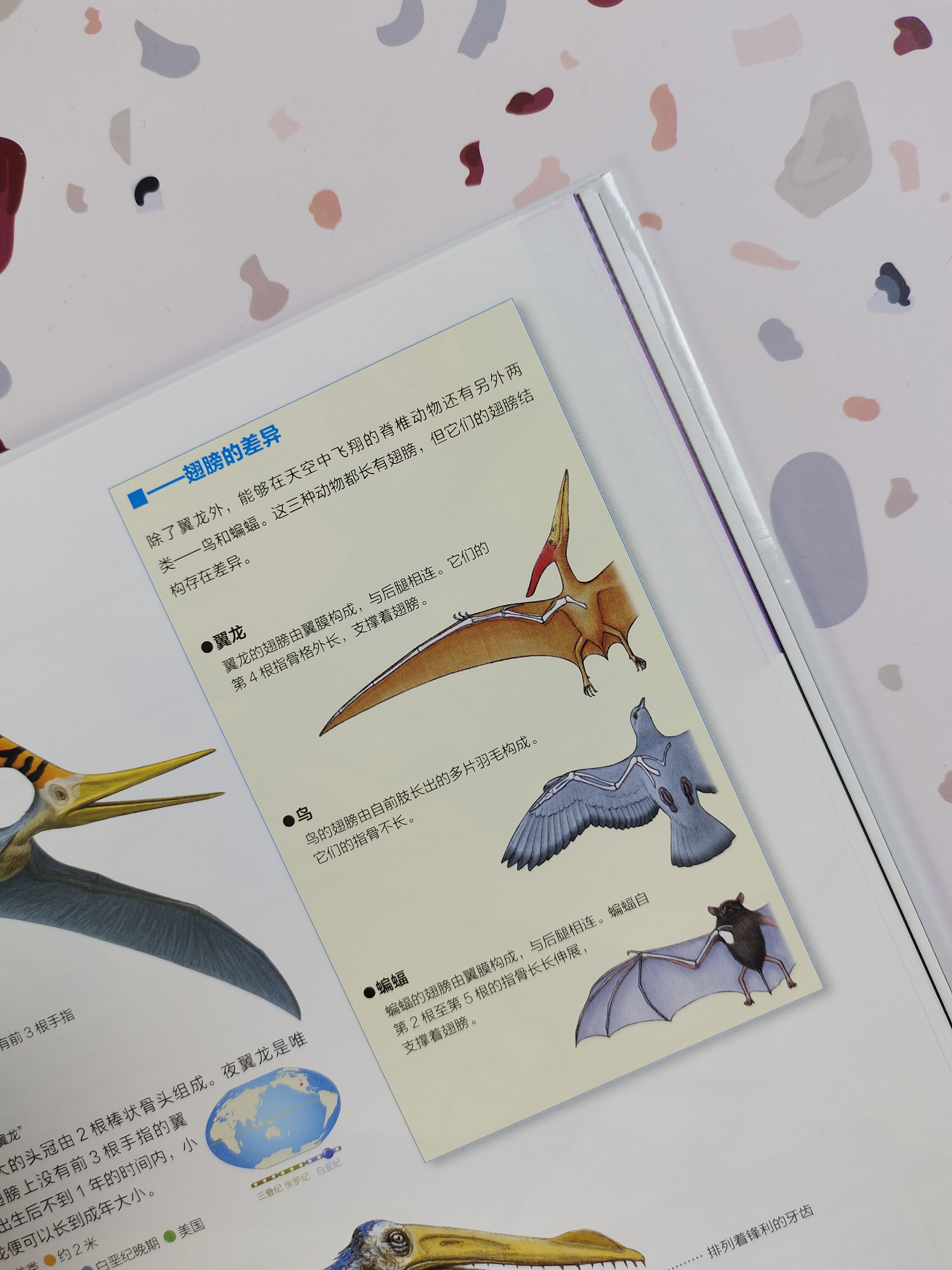 世界上知识点最全的恐龙百科全书,恐龙百科全书恐龙世界的无穷奥秘