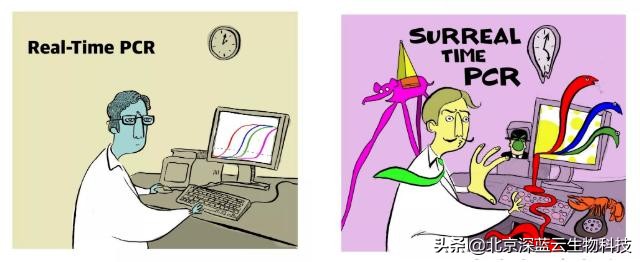 中国赛默飞实时荧光定量pcr仪介绍,实时荧光定量pcr扩增曲线如何分析