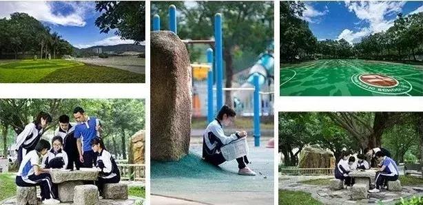 深圳ib国际学校排行榜,深圳市石岩公学ib国际部