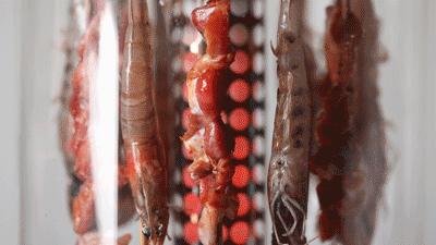 烧烤最好用的烧烤炉,无烟自动烧烤炉能烤什么