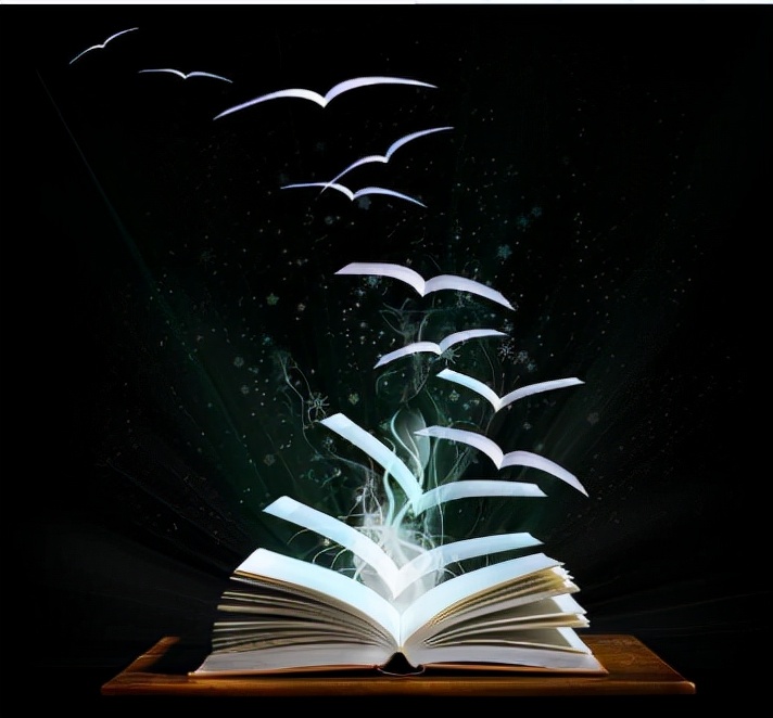 凌晨四点半，我找到了还四十万外债的方法