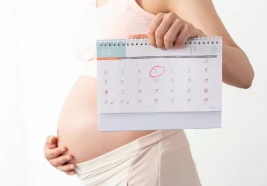试管婴儿如何算孕期天数,试管婴儿怎么算预产期用什么软件
