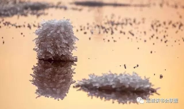 运城盐湖中国死海的舆情,运城盐湖中学排名