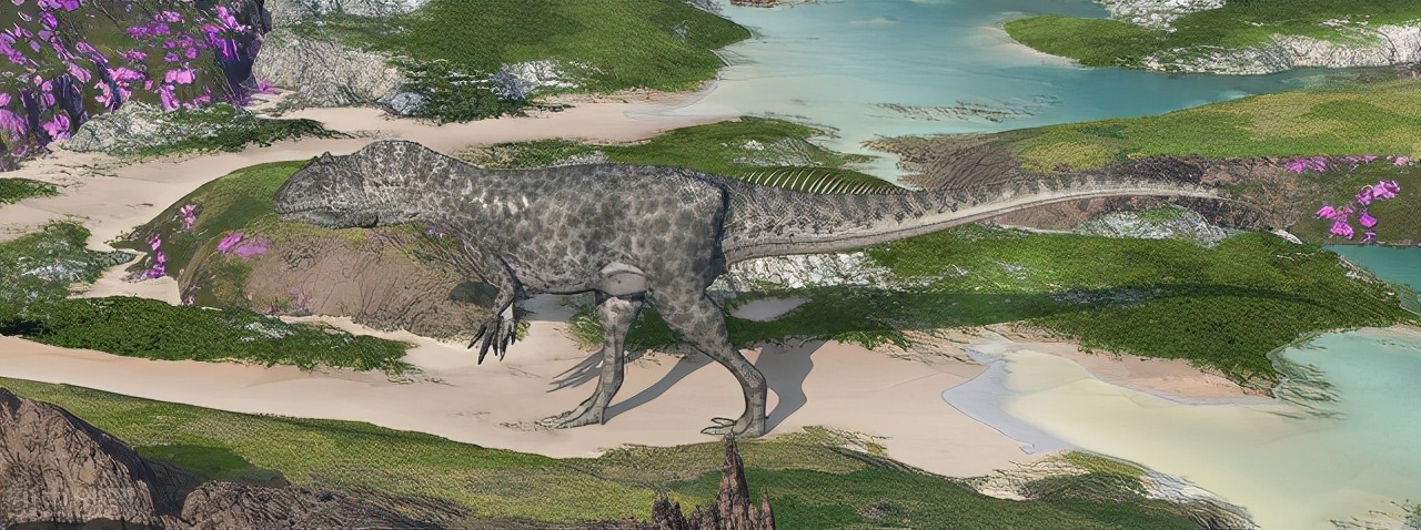 爻辞初九是什么意思,初九爻辞的意义