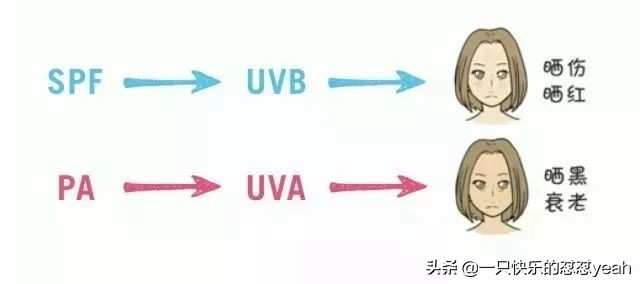 安耐晒的正确使用方法,安耐晒正确的使用方法