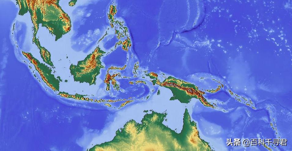 有哪些非常非常可怕的蛇类,人们最害怕的是大型蛇类