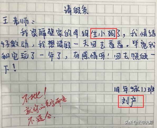 请假条错别字搞笑,搞笑小学生请假条照片