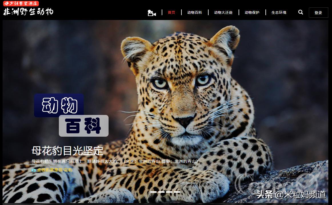 天上真能掉馅饼完整版,天上真的能掉馅饼吗