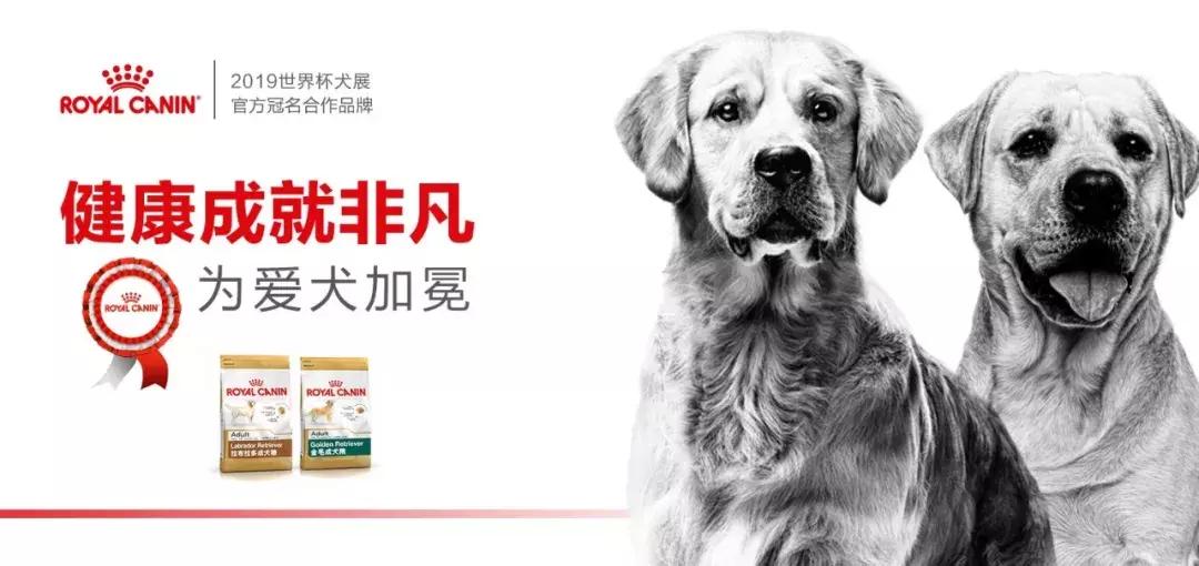 冠能厉害了！差点逼我粉上皇家