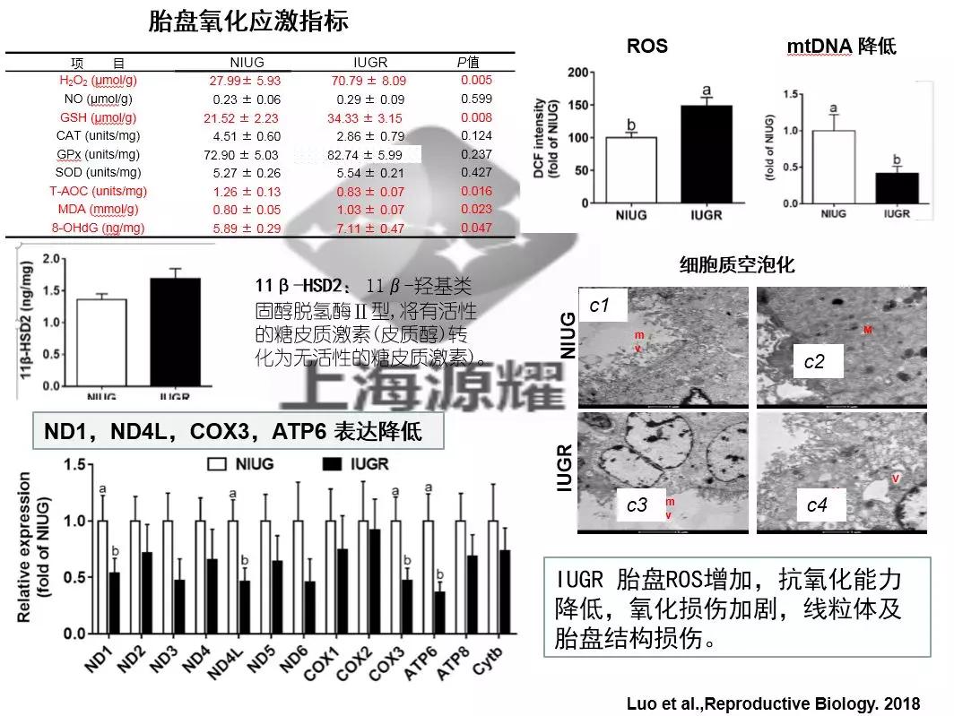 徐建雄教授讲座,徐建雄教授上海大学