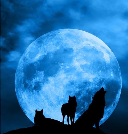 网站收录差别担心，wordpress增加你的百度收录率-网络推广