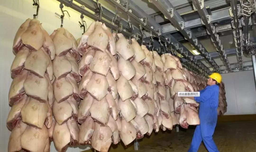 闆忛拱鍐滅墽鍊哄姟,闆忛拱鍐滅墽鍚庣画璧板娍