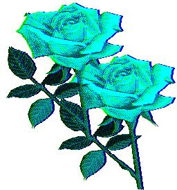 初中文言文一词多义180字,初中文言文一词多义的词