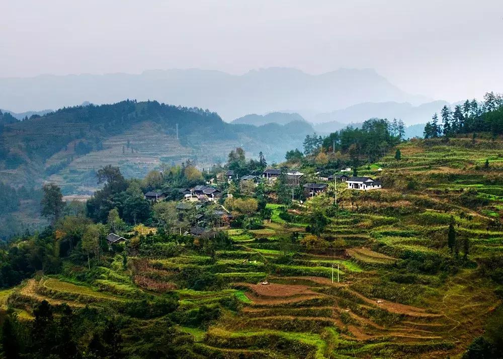 四渡赤水渡过金沙江,四渡赤水渡过大渡河