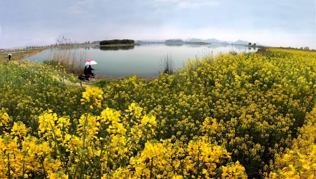 杭州最美绿道,杭州新增最美绿道