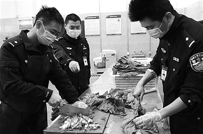 战疫第一线爱从不缺席,高墙战疫监区警察的忠诚担当