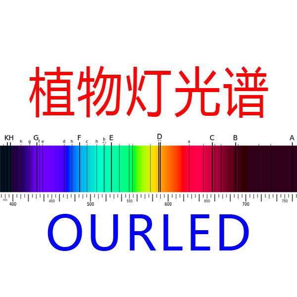 家禽养殖通风,光照对家禽的影响