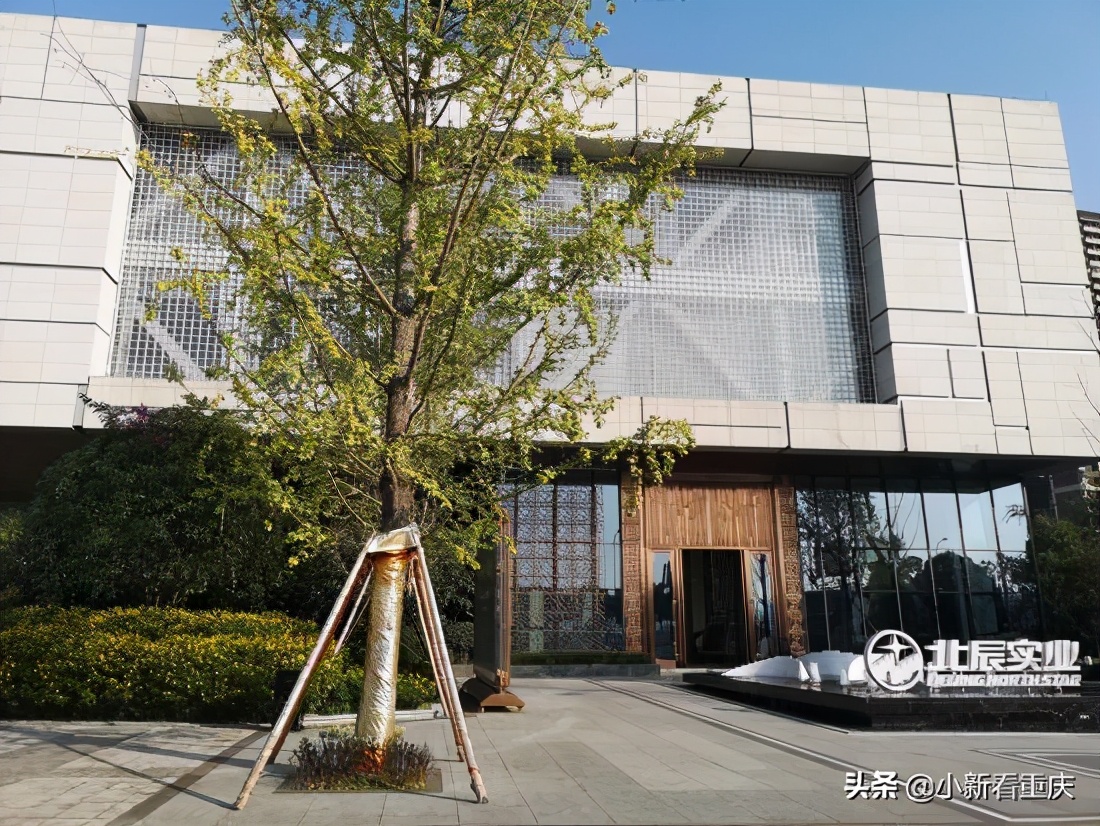 重庆悦来生态新城,悦来新城重庆