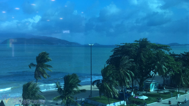 瓒婂崡鑺藉簞娴锋哗鏅尯瑙嗛,瓒婂崡鑺藉簞榛戝矝娴锋哗