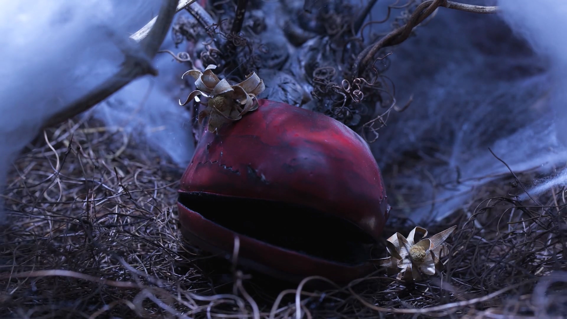 如何用垃圾拍成一部惊艳的电影