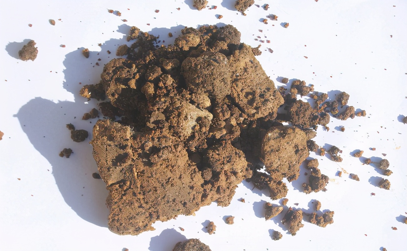 淘米水养花的正确方法和注意事项,鸡蛋壳淘米水做养花肥料的方法