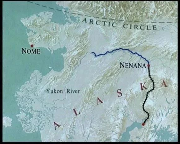 哈士奇无处安放的灵魂,哈士奇只想做个安静的美男子