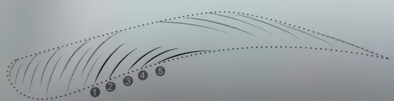 纹绣师设计眉形时如何与顾客沟通,2022纹绣师必须掌握的五大眉形