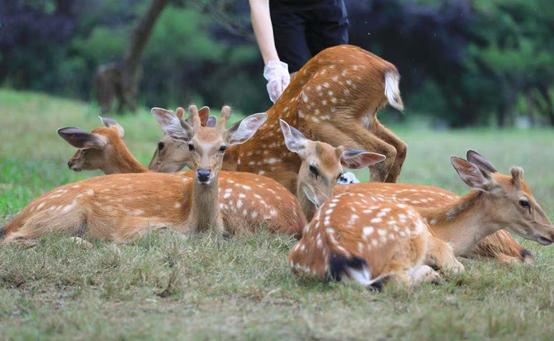 南京江宁区绿水青山,南京青山绿水蓝天白云