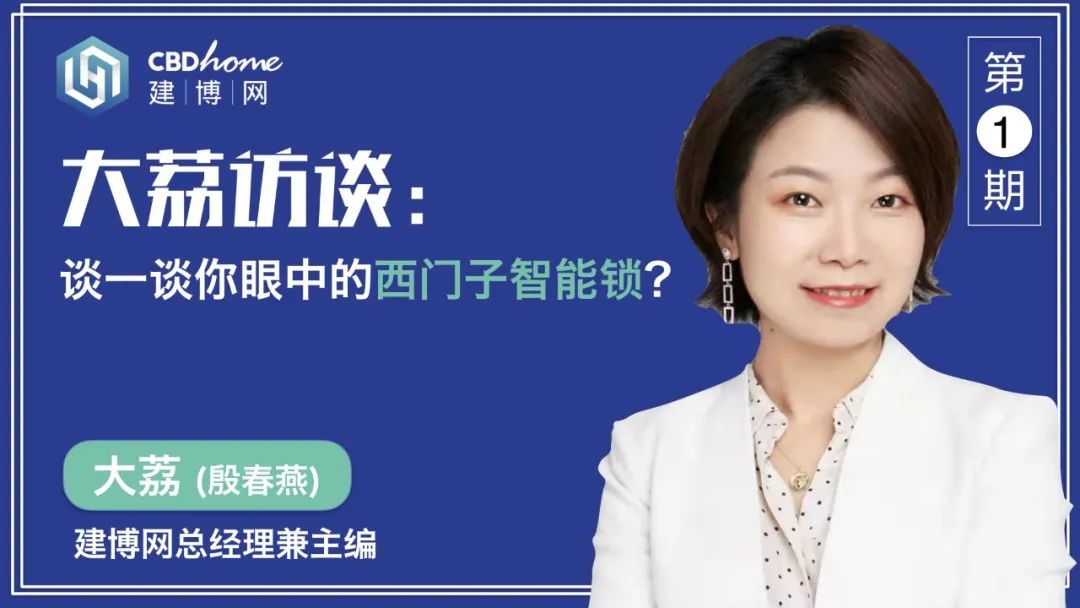 「大荔访谈」谈一谈你眼中的西门子智能锁？