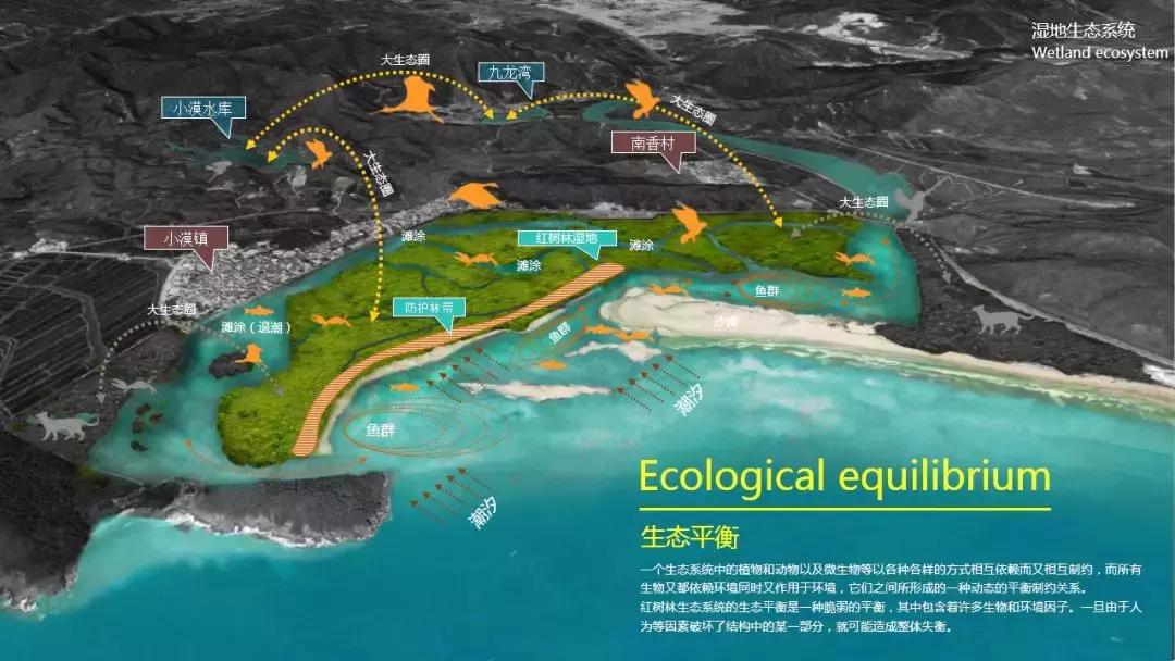 深汕生日快乐,深圳经济特区的生日