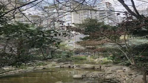 青羊教育资源最新消息,青羊区的教育资源