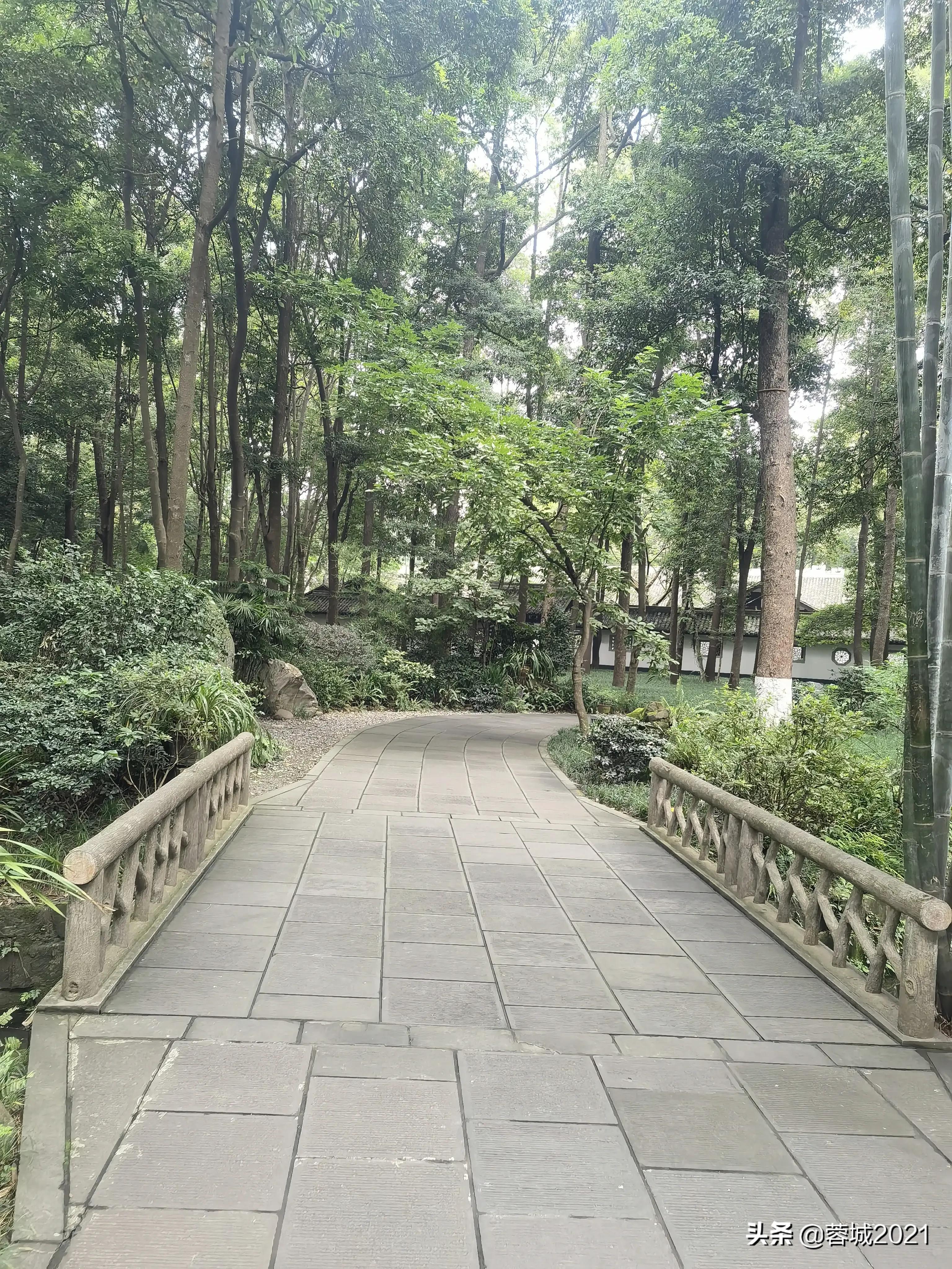 杜甫草堂博物馆,游成都杜甫草堂博物馆