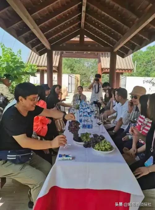 宁夏酒庄之旅,银川酒庄之旅