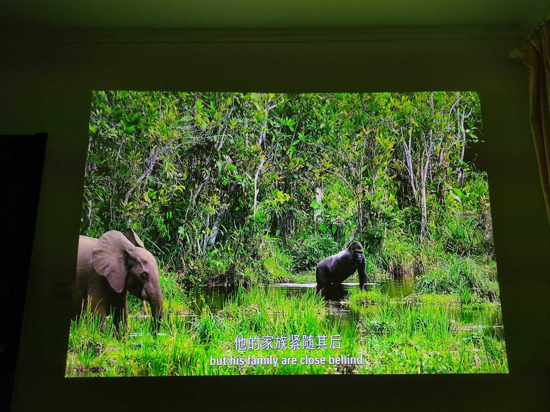 客厅提升幸福感小电器推荐,适合客厅的家用电器