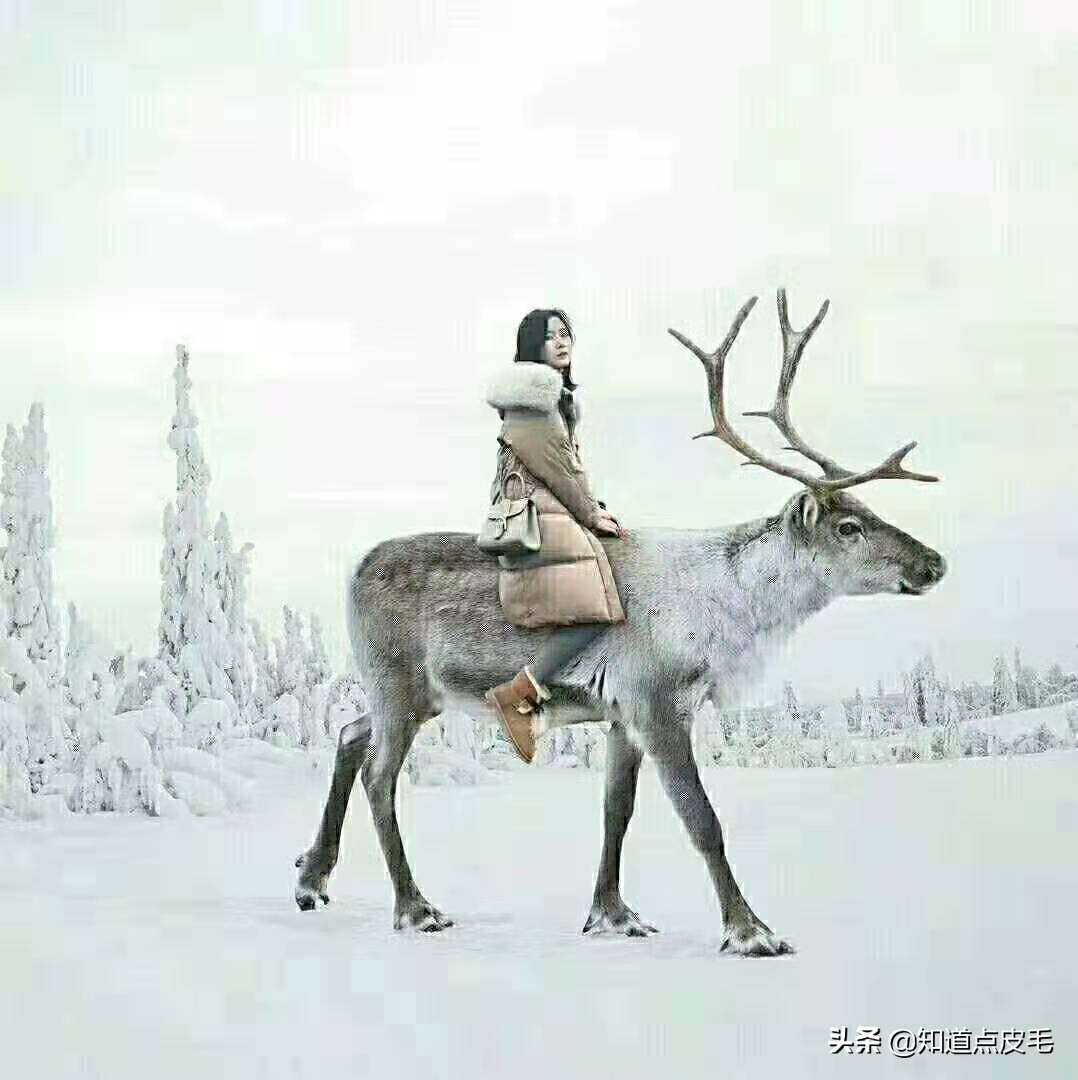 小众时尚坡跟雪地靴,时尚亮面皮毛一体雪地靴