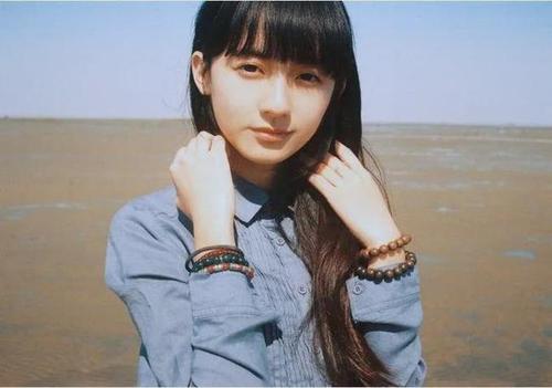 中国漫画家夏达作品,中国漫画家夏达的素材