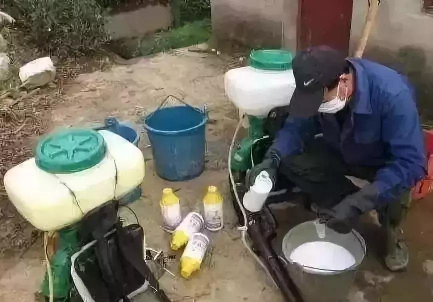 天然高效橙皮精油助剂,橙油助剂与有机硅助剂的区别