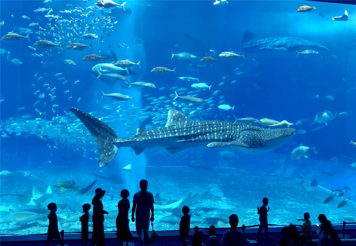 G20后大阪更好玩了！怎么订机票更省钱