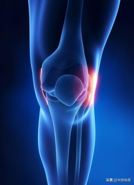 中游体育:蛙泳的翻脚动作是如何把你的膝盖练废的