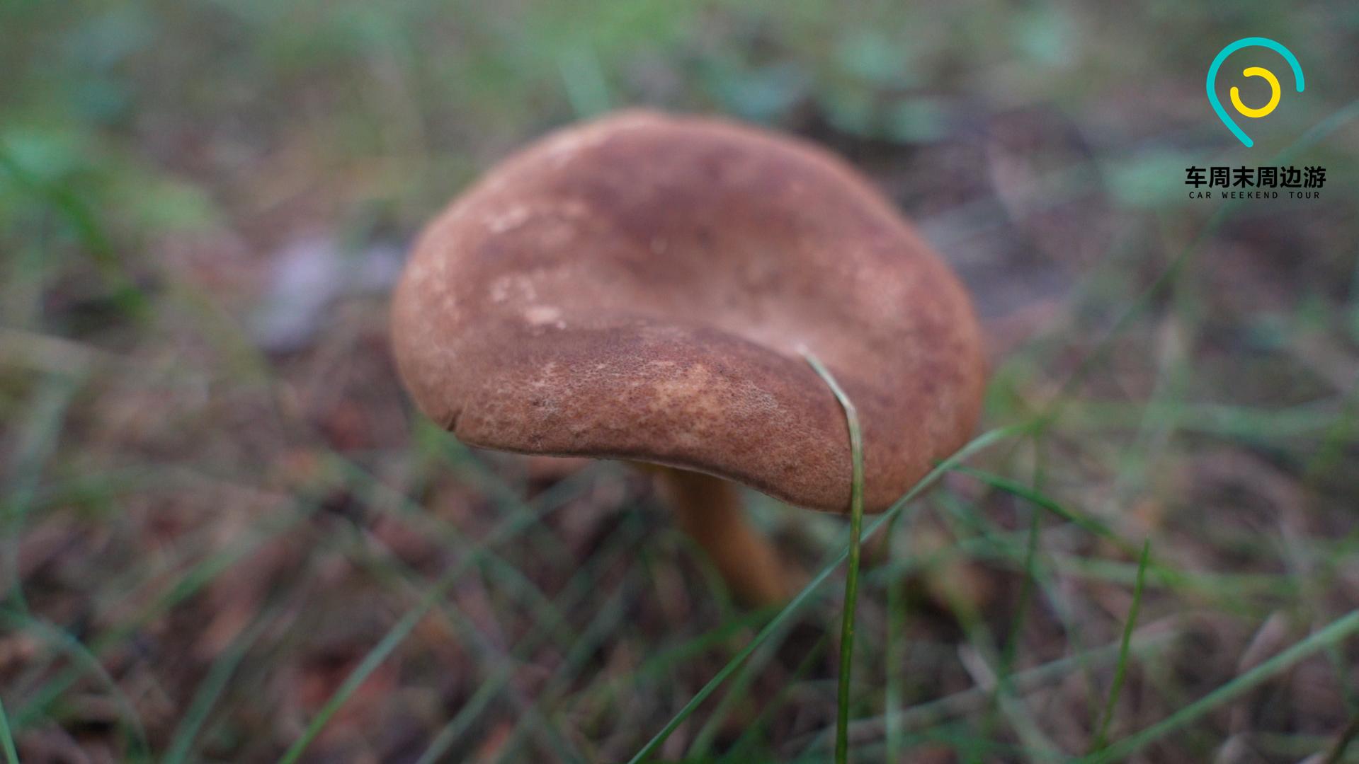 昆明游玩露营攻略路线,自驾游昆明露营攻略最新