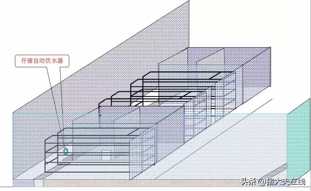 养猪猪舍设计建造,养猪最好的猪舍建造方法
