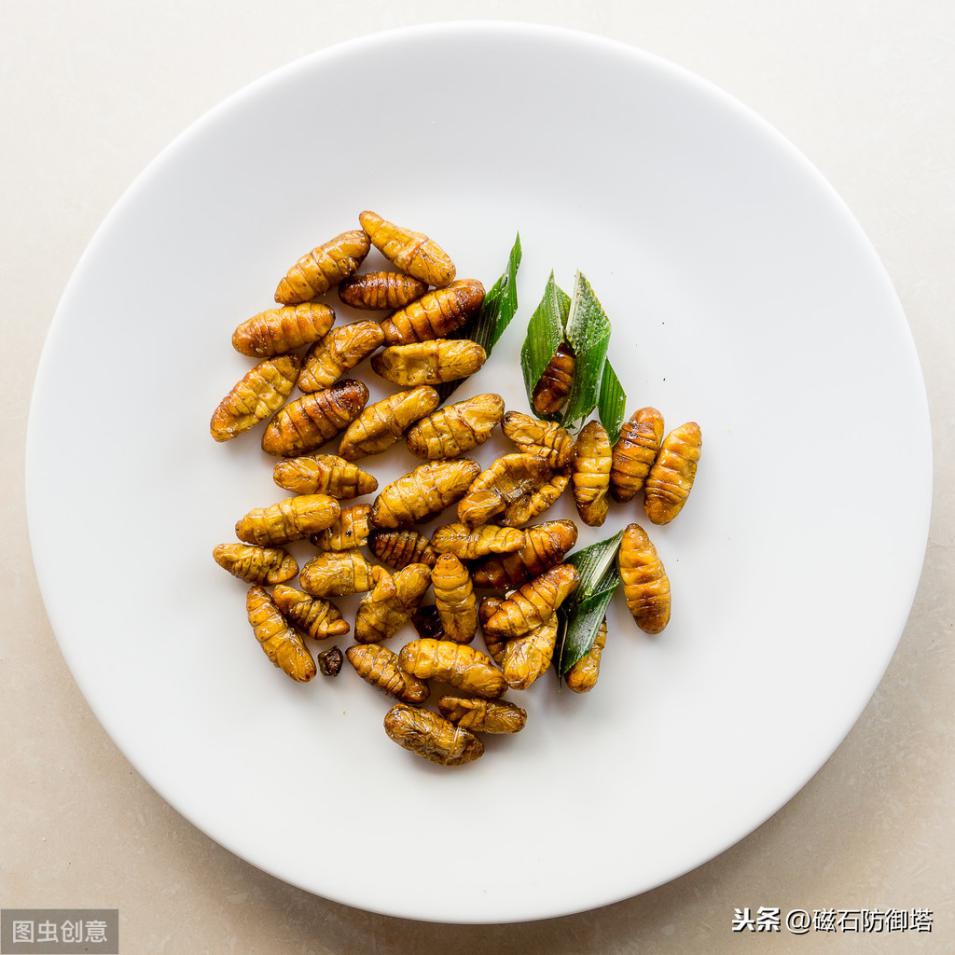 神奇的蚕宝宝的起源,神奇动物之布利多之谜